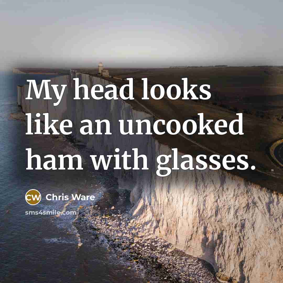“My head looks like an uncooked ham with glasses.” quote by Chris Ware