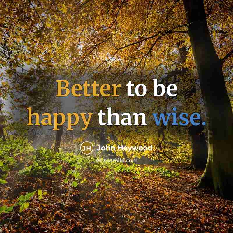 “Better to be happy than wise.” quote by John Heywood
