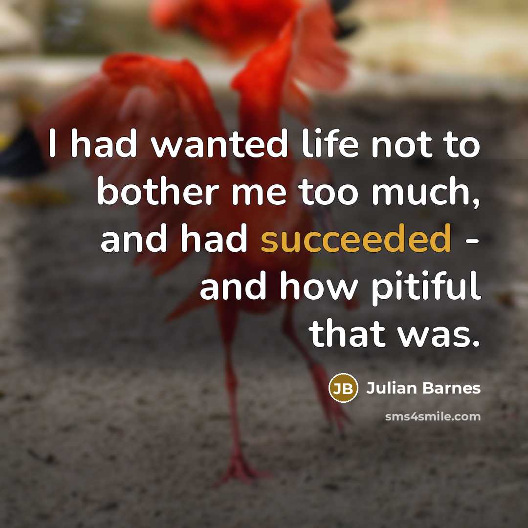 “I had wanted life not to bother me too much,…” quote by Julian Barnes