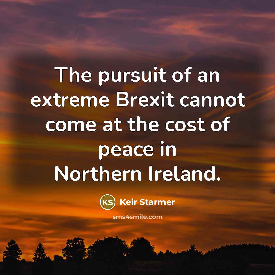 “The pursuit of an extreme Brexit cannot come at the…” quote by Keir Starmer