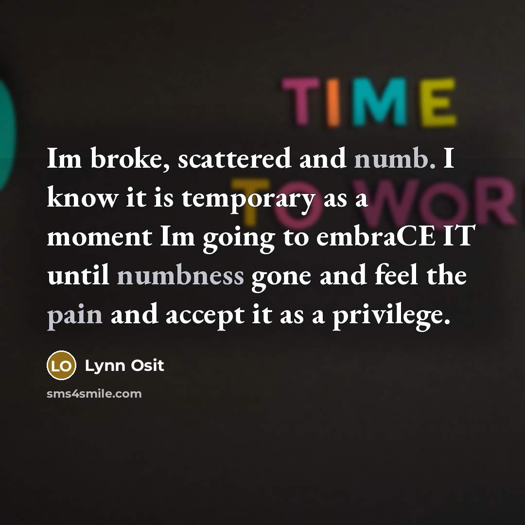 “Im broke, scattered and numb. I know it is temporary as a moment Im going to embraCE IT until numbness gone and feel the pain and accept it as a privilege.” quote by Lynn Osit