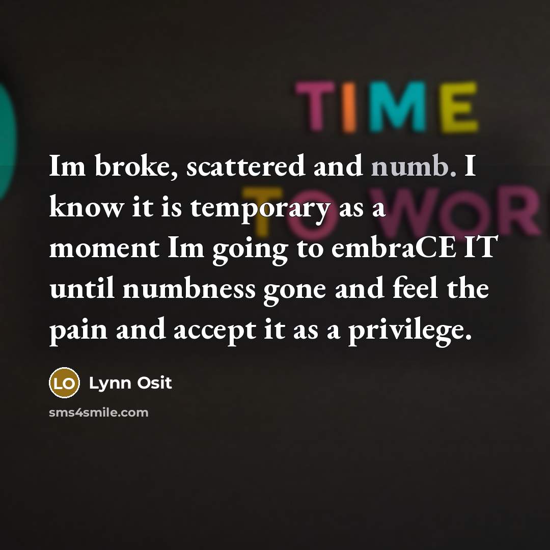 “Im broke, scattered and numb. I know it is temporary…” quote by Lynn Osit