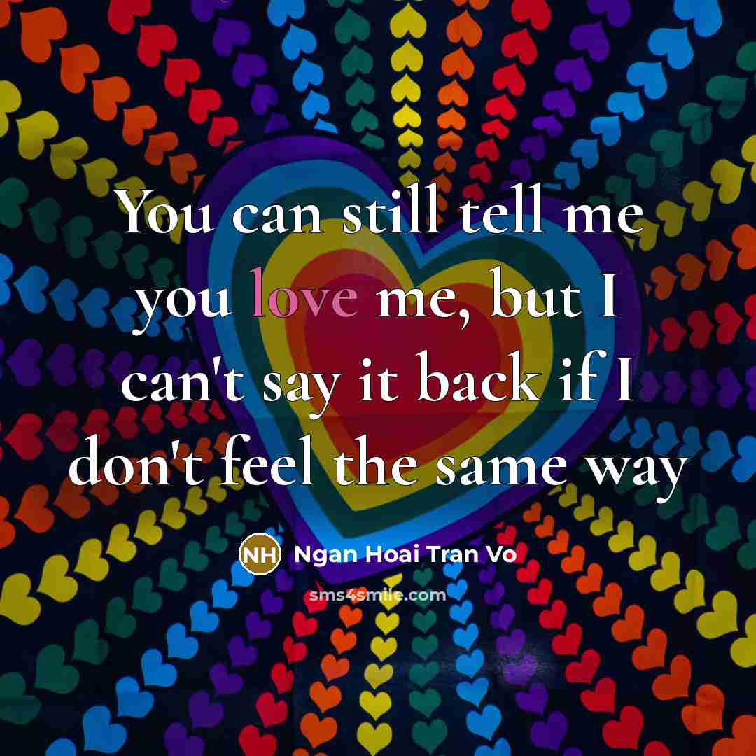 “You can still tell me you love me, but I…” quote by Ngan Hoai Tran Vo