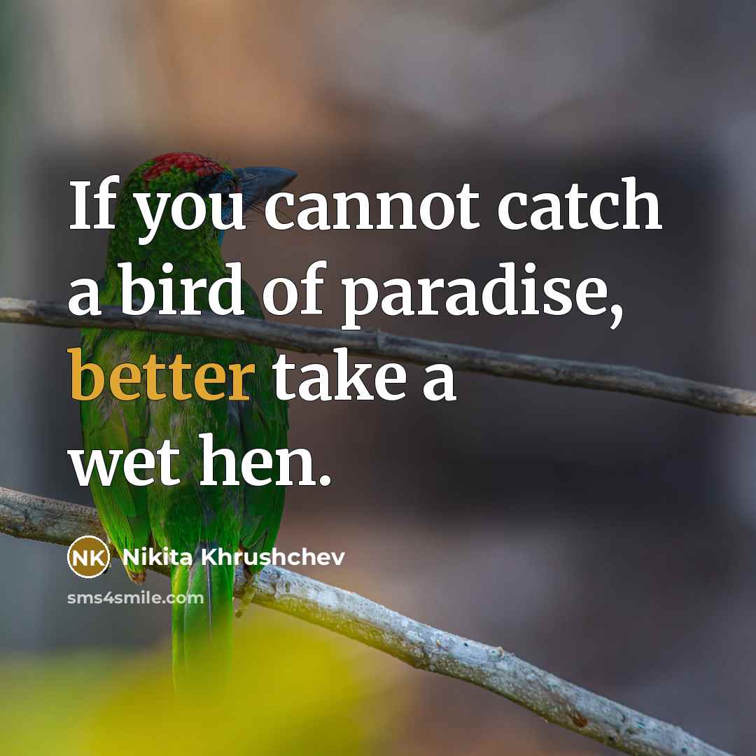 “If you cannot catch a bird of paradise, better take…” quote by Nikita Khrushchev
