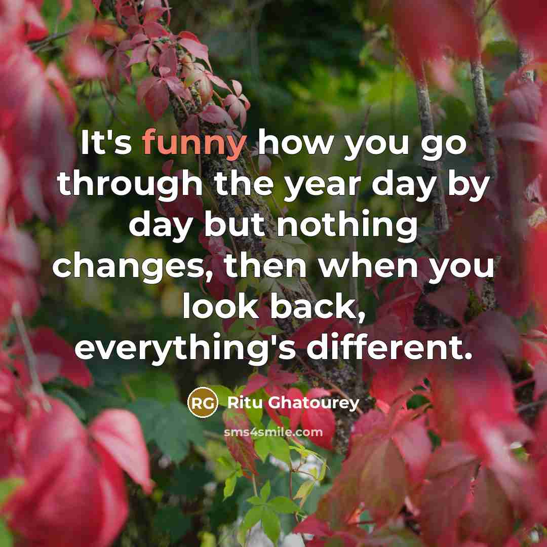 “It's funny how you go through the year day by…” quote by Ritu Ghatourey