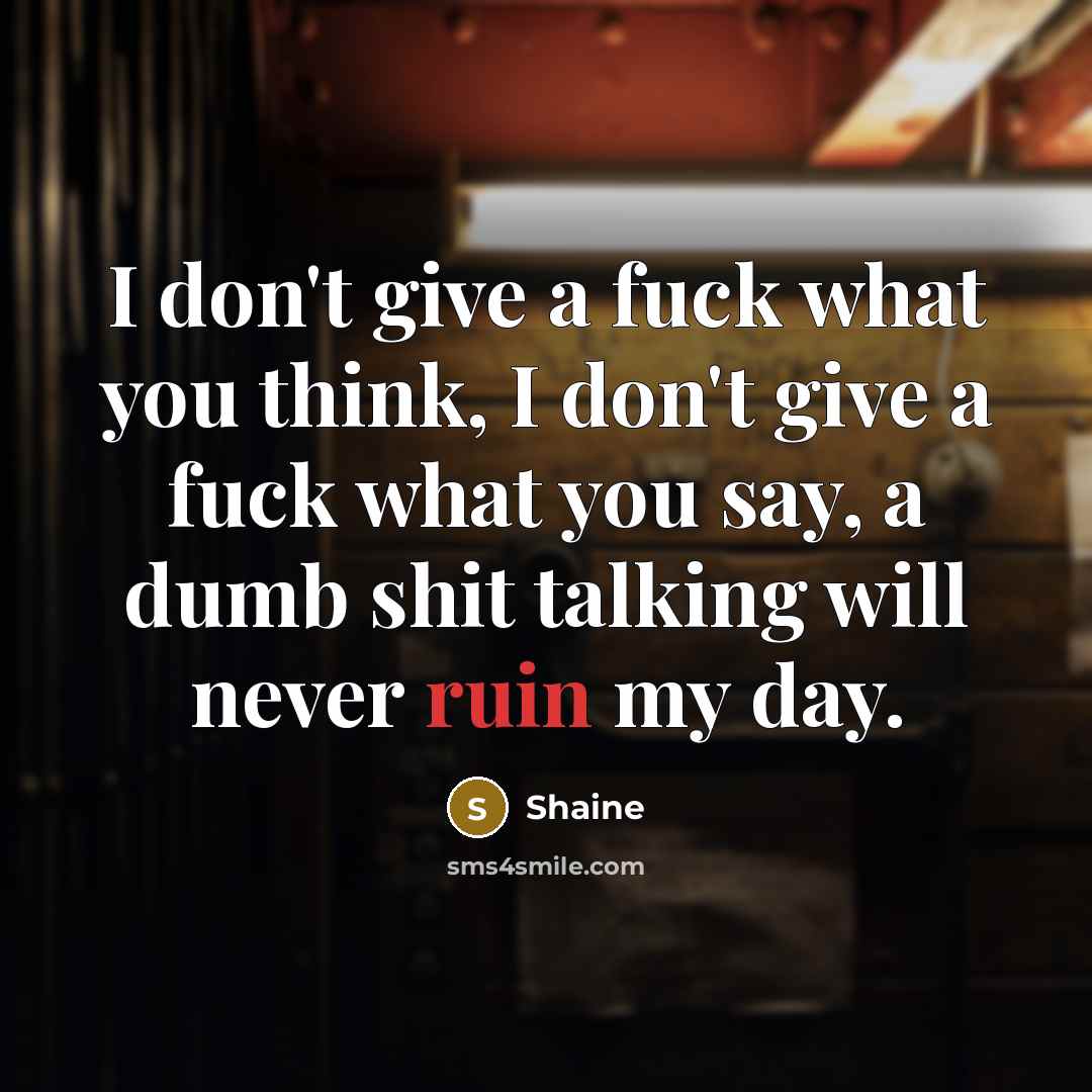 “I don't give a fuck what you think, I don't…” quote by Shaine