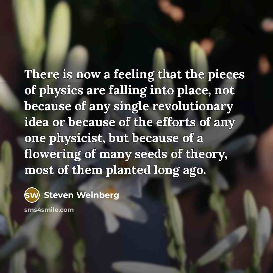 “There is now a feeling that the pieces of physics…” quote by Steven Weinberg