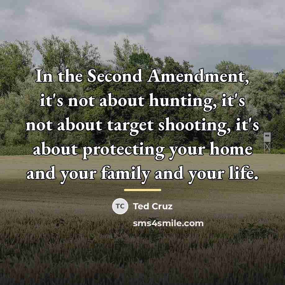 “In the Second Amendment, it's not about hunting, it's not…” quote by Ted Cruz