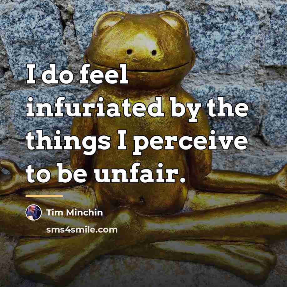 “I do feel infuriated by the things I perceive to…” quote by Tim Minchin