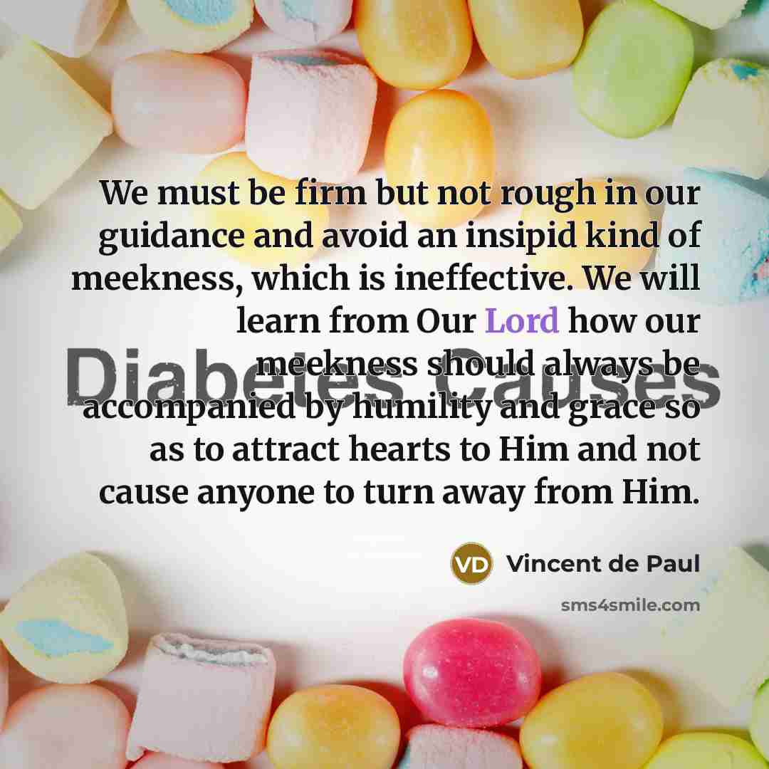 “We must be firm but not rough in our guidance…” quote by Vincent de Paul