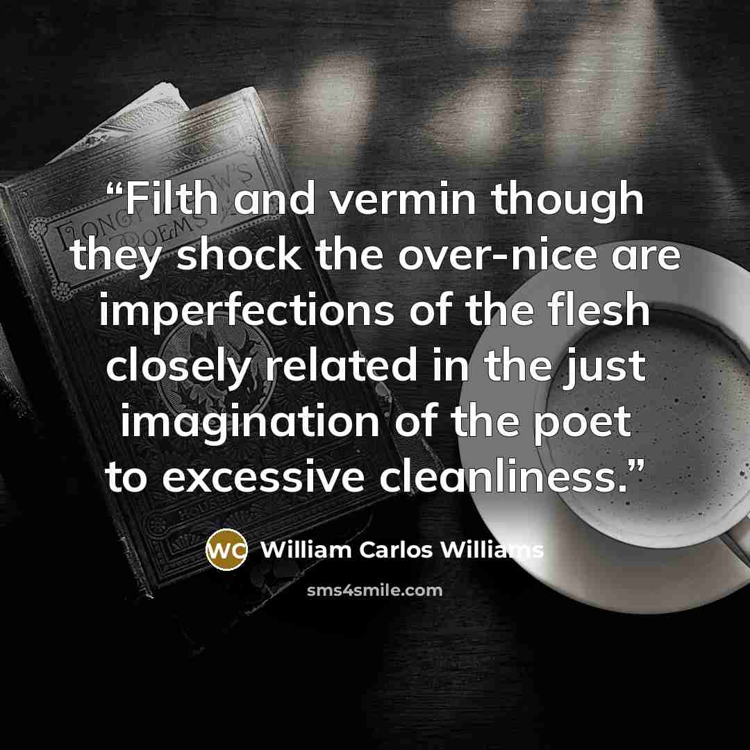 “Filth and vermin though they shock the over-nice are imperfections of the flesh closely related in the just imagination of the poet to excessive cleanliness.” quote by William Carlos Williams