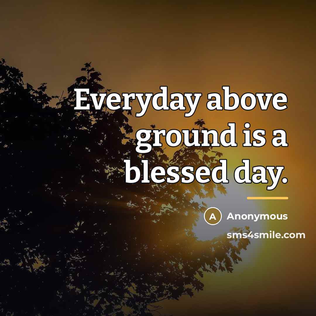 “Everyday above ground is a blessed day.…” quote by Anonymous