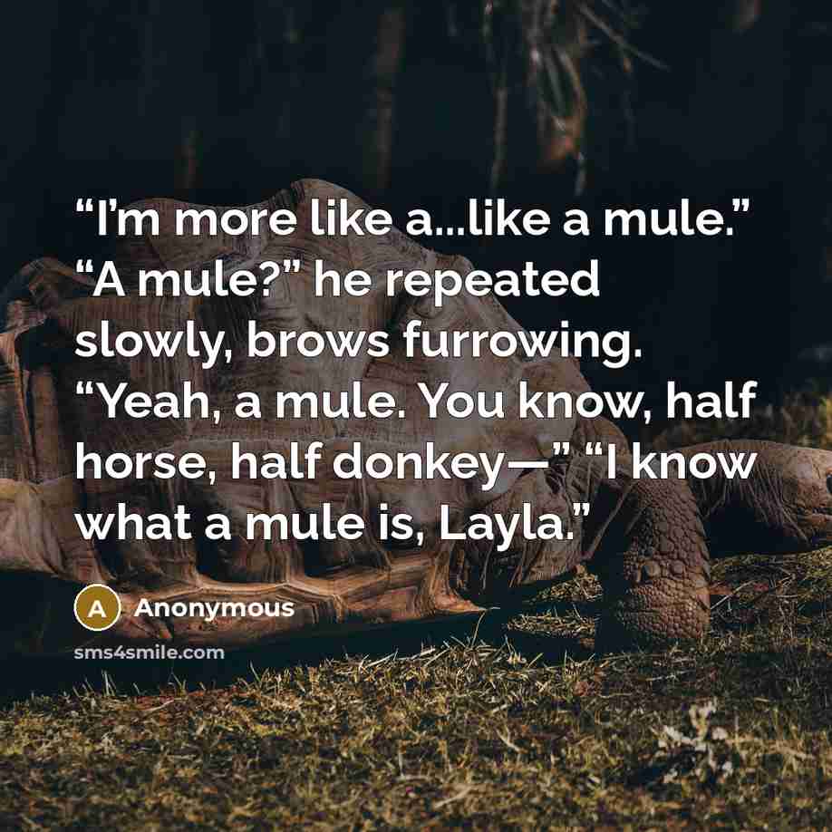 “I’m more like a...like a mule.” “A mule?” he repeated slowly, brows furrowing. “Yeah, a mule. You know, half horse, half donkey—” “I know what a mule is, Layla.” quote by Anonymous