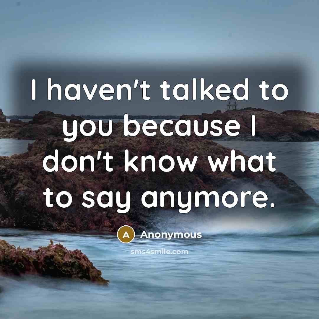 “I haven't talked to you because I don't know what…” quote by Anonymous