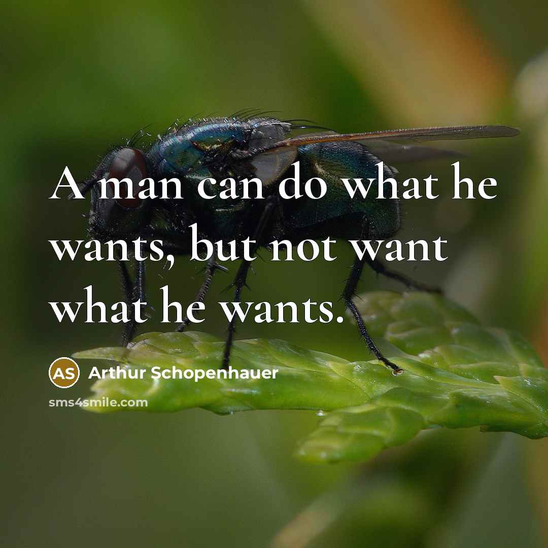 “A man can do what he wants, but not want…” quote by Arthur Schopenhauer