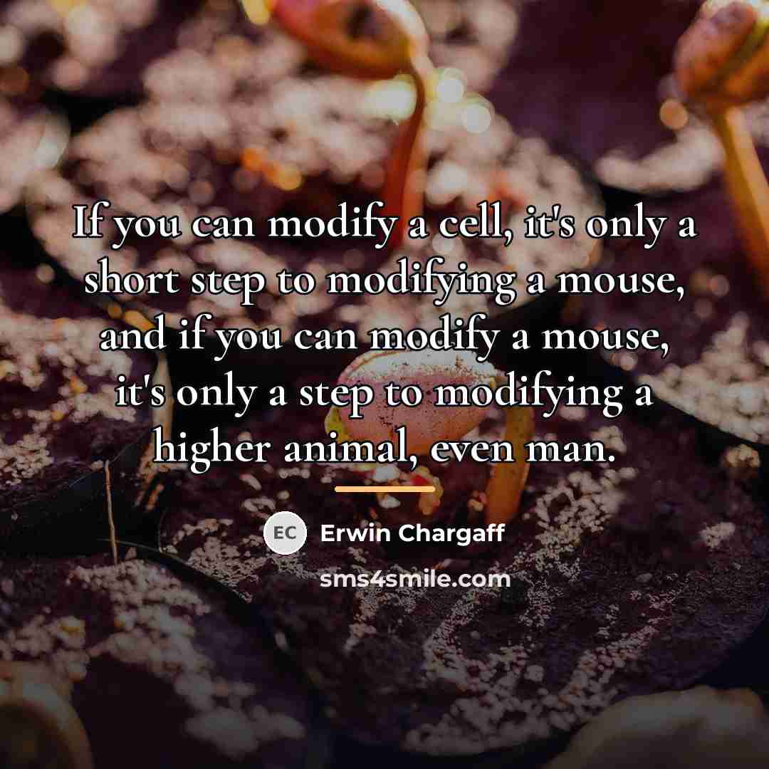 “If you can modify a cell, it's only a short…” quote by Erwin Chargaff