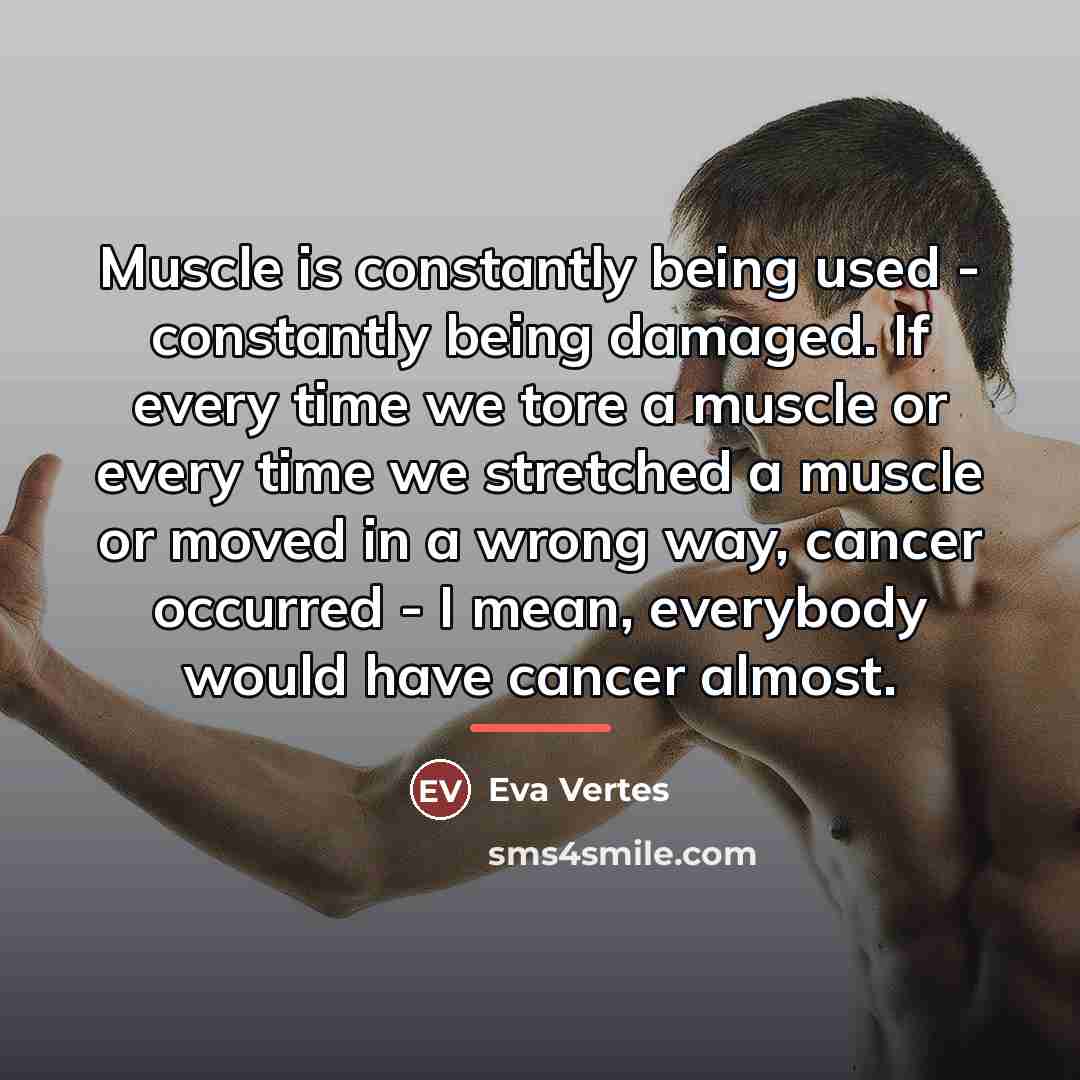 “Muscle is constantly being used - constantly being damaged. If…” quote by Eva Vertes