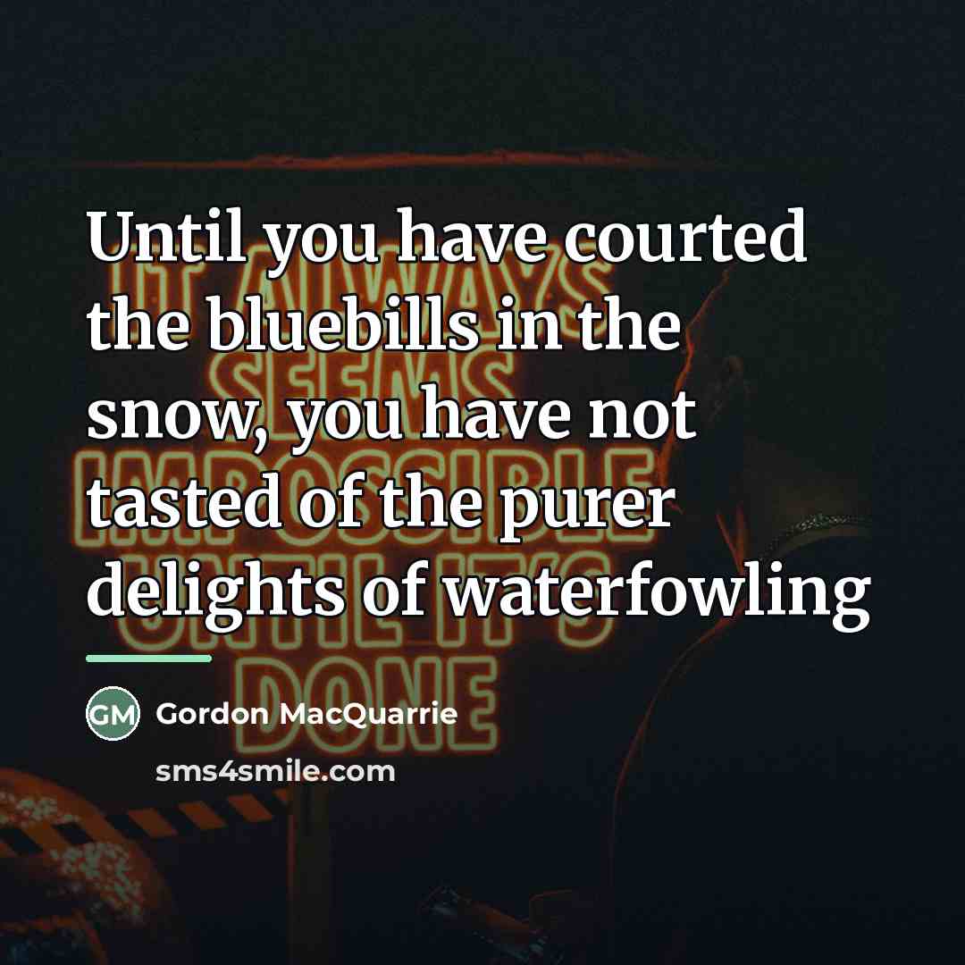 “Until you have courted the bluebills in the snow, you…” quote by Gordon MacQuarrie