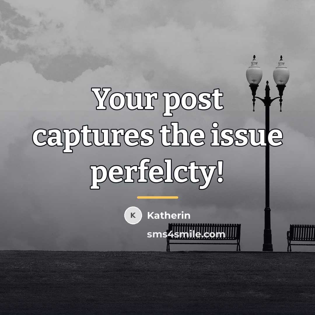 “Your post captures the issue perfelcty!…” quote by Katherin