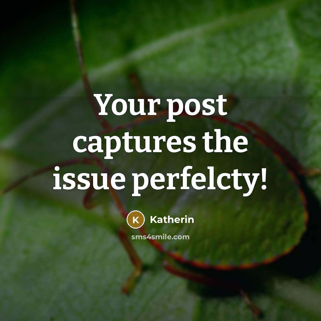 “Your post captures the issue perfelcty!” quote by Katherin
