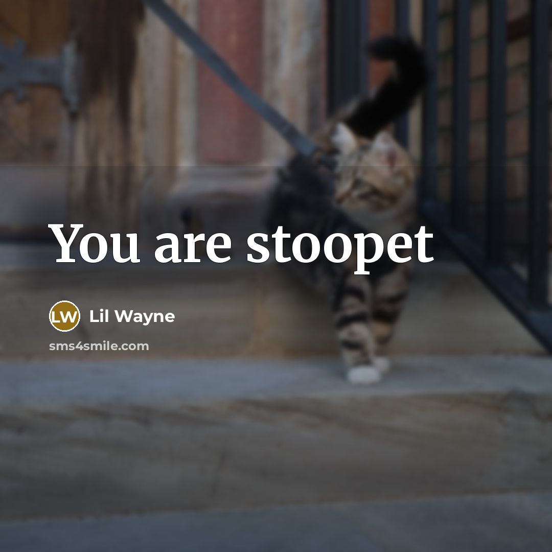 “You are stoopet” quote by Lil Wayne