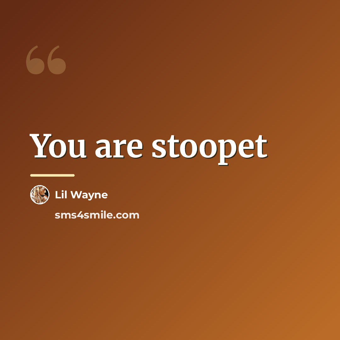 “You are stoopet…” quote by Lil Wayne