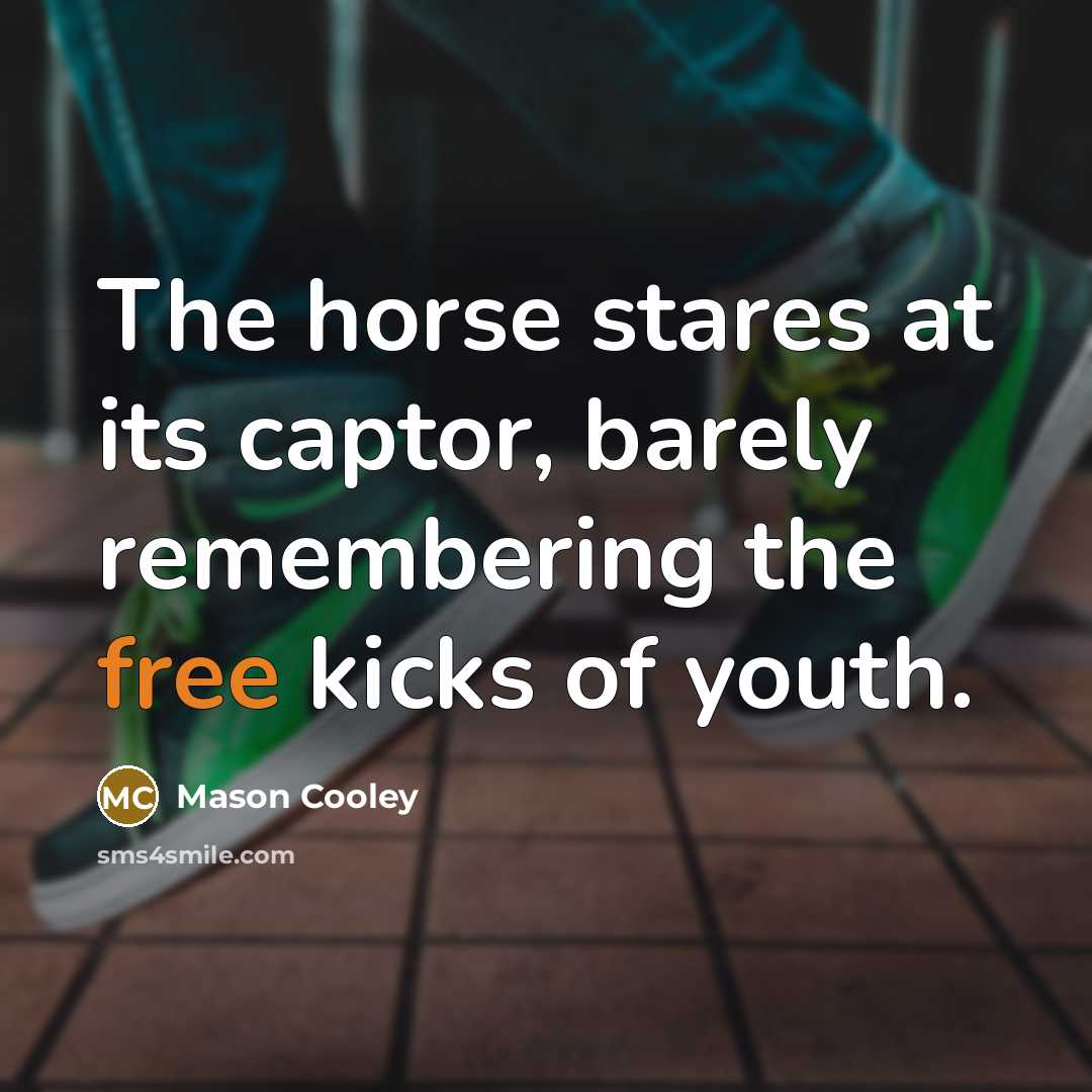 “The horse stares at its captor, barely remembering the free…” quote by Mason Cooley