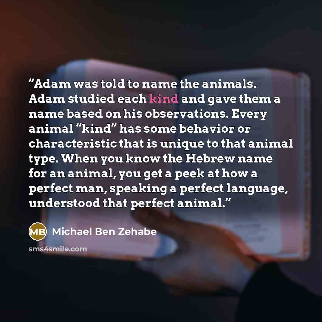 “Adam was told to name the animals. Adam studied each kind and gave them a name based on his observations. Every animal “kind” has some behavior or characteristic that is unique to that animal type. When you know the Hebrew name for an animal, you get a peek at how a perfect man, speaking a perfect…” quote by Michael Ben Zehabe