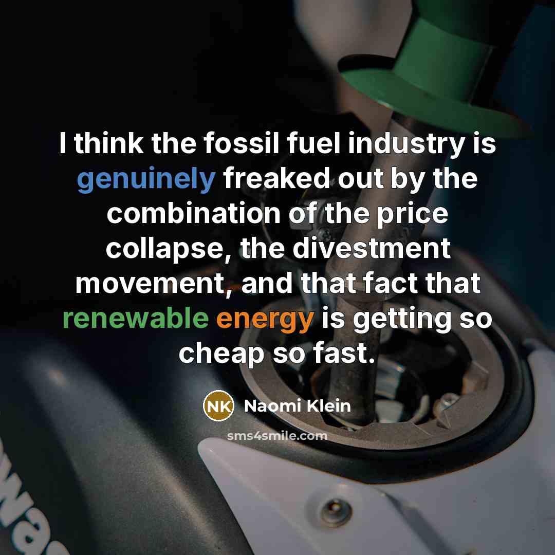 “I think the fossil fuel industry is genuinely freaked out…” quote by Naomi Klein