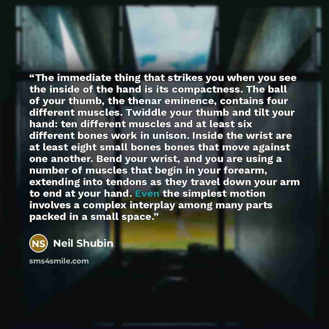 “The immediate thing that strikes you when you see the inside of the hand is its compactness. The ball of your thumb, the thenar eminence, contains four different muscles. Twiddle your thumb and tilt your hand: ten different muscles and at least six different bones work in unison. Inside the wrist…” quote by Neil Shubin