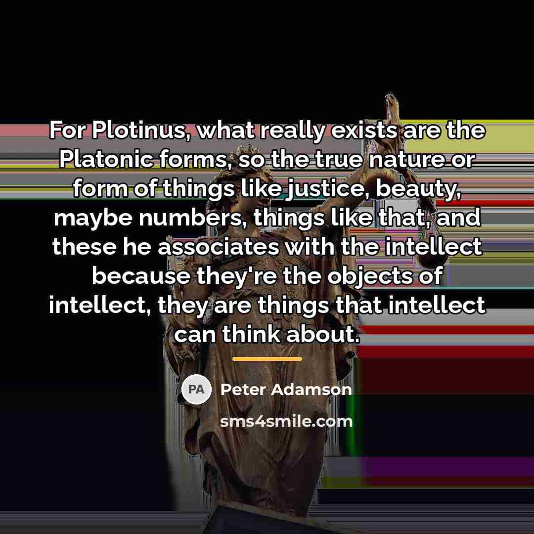 “For Plotinus, what really exists are the Platonic forms, so…” quote by Peter Adamson