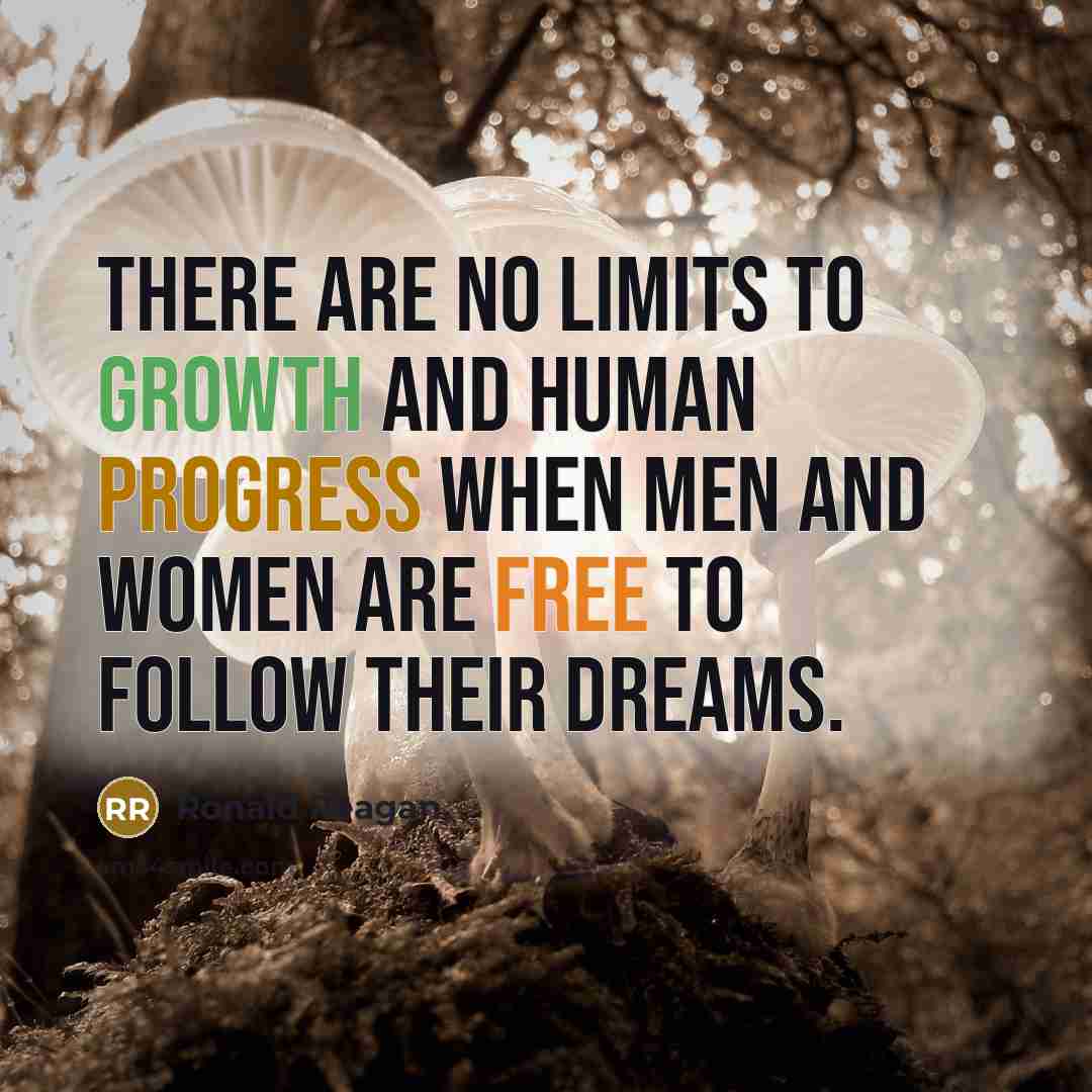 “There are no limits to growth and human progress when…” quote by Ronald Reagan