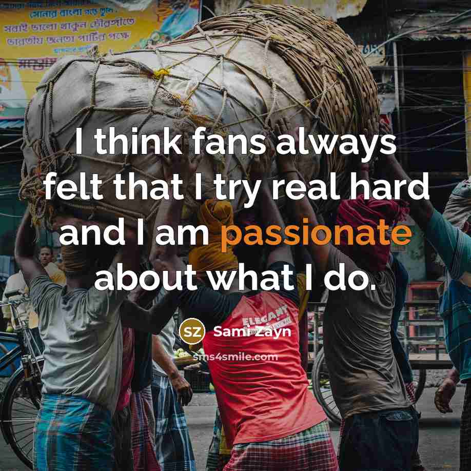 “I think fans always felt that I try real hard…” quote by Sami Zayn