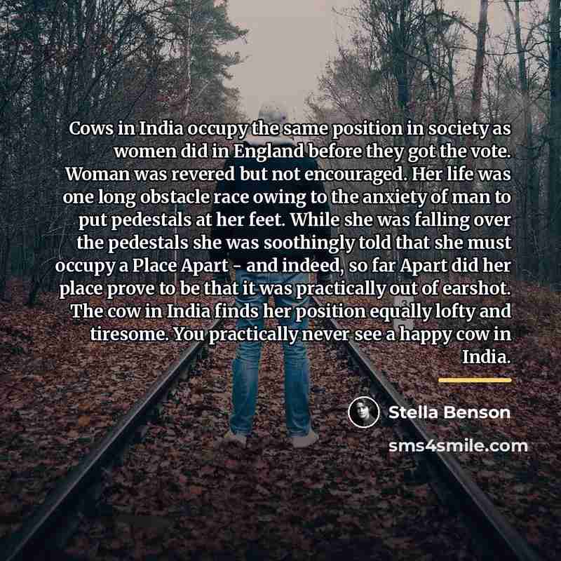 “Cows in India occupy the same position in society as…” quote by Stella Benson