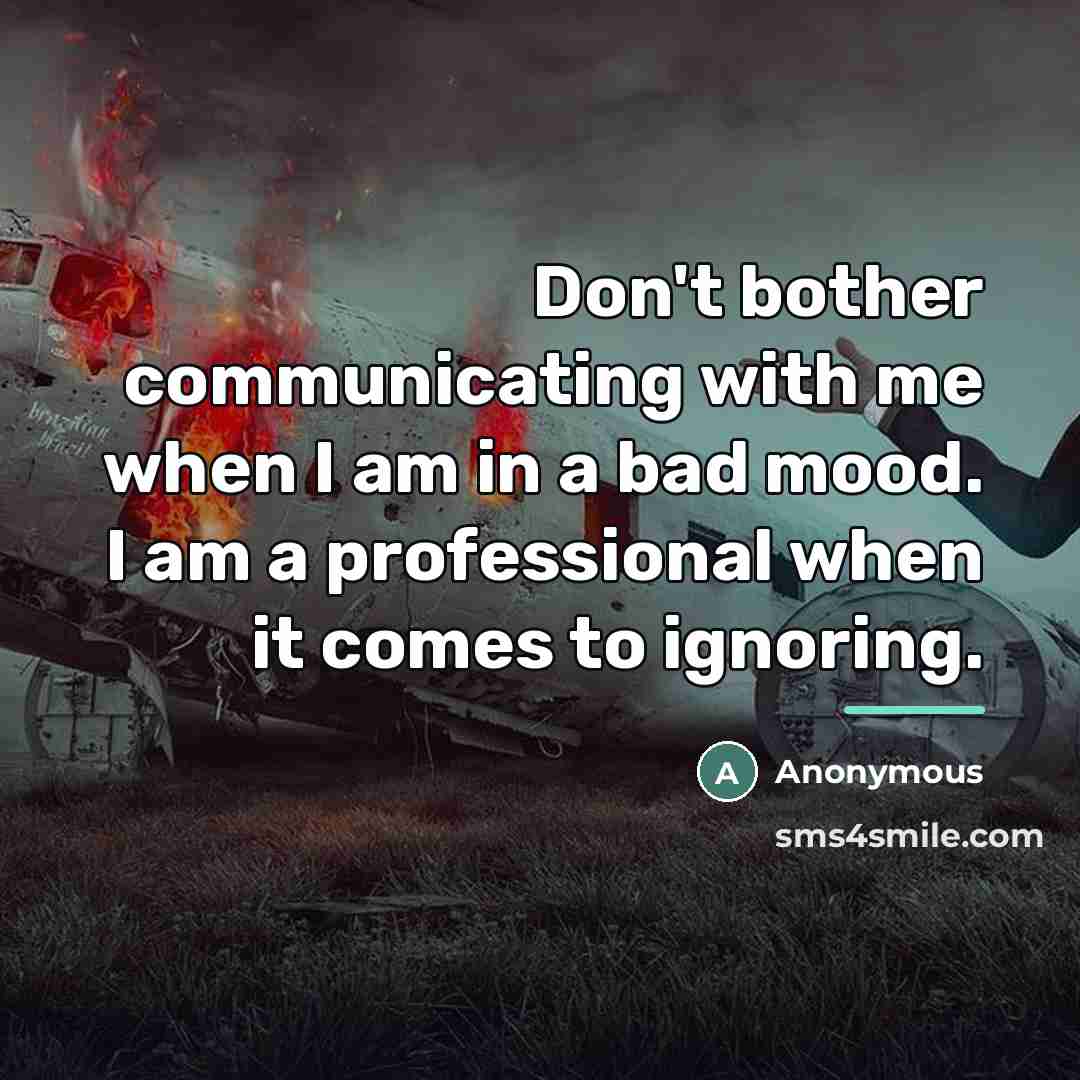 “Don't bother communicating with me when I am in a…” quote by Anonymous