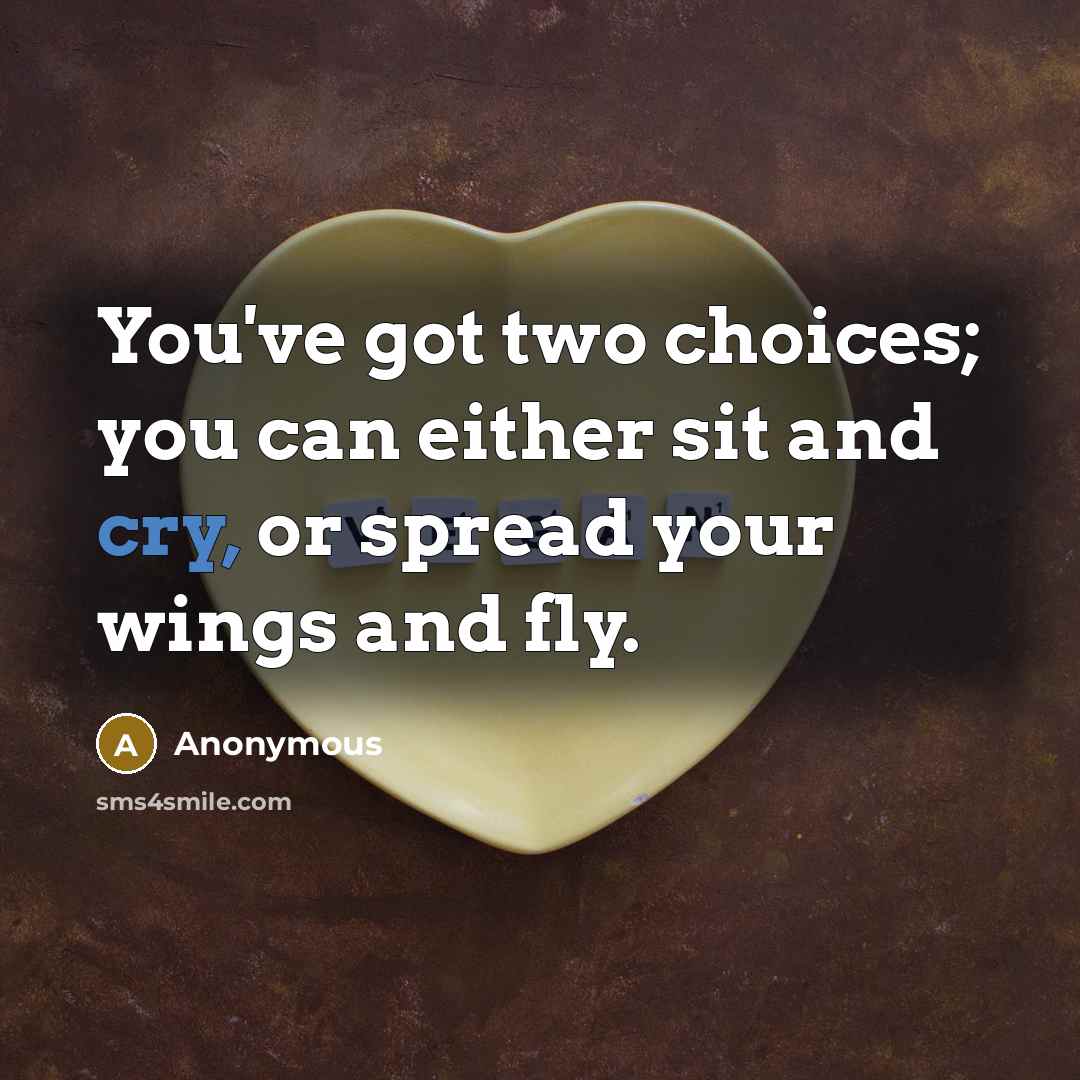 “You've got two choices; you can either sit and cry, or spread your wings and fly.” quote by Anonymous