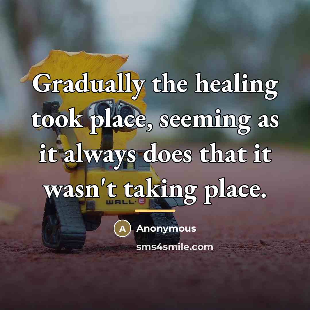 “Gradually the healing took place, seeming as it always does…” quote by Anonymous