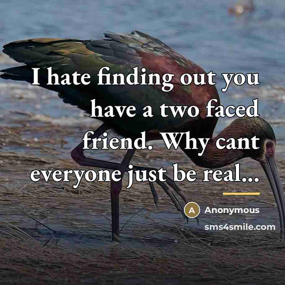 “I hate finding out you have a two faced friend.…” quote by Anonymous