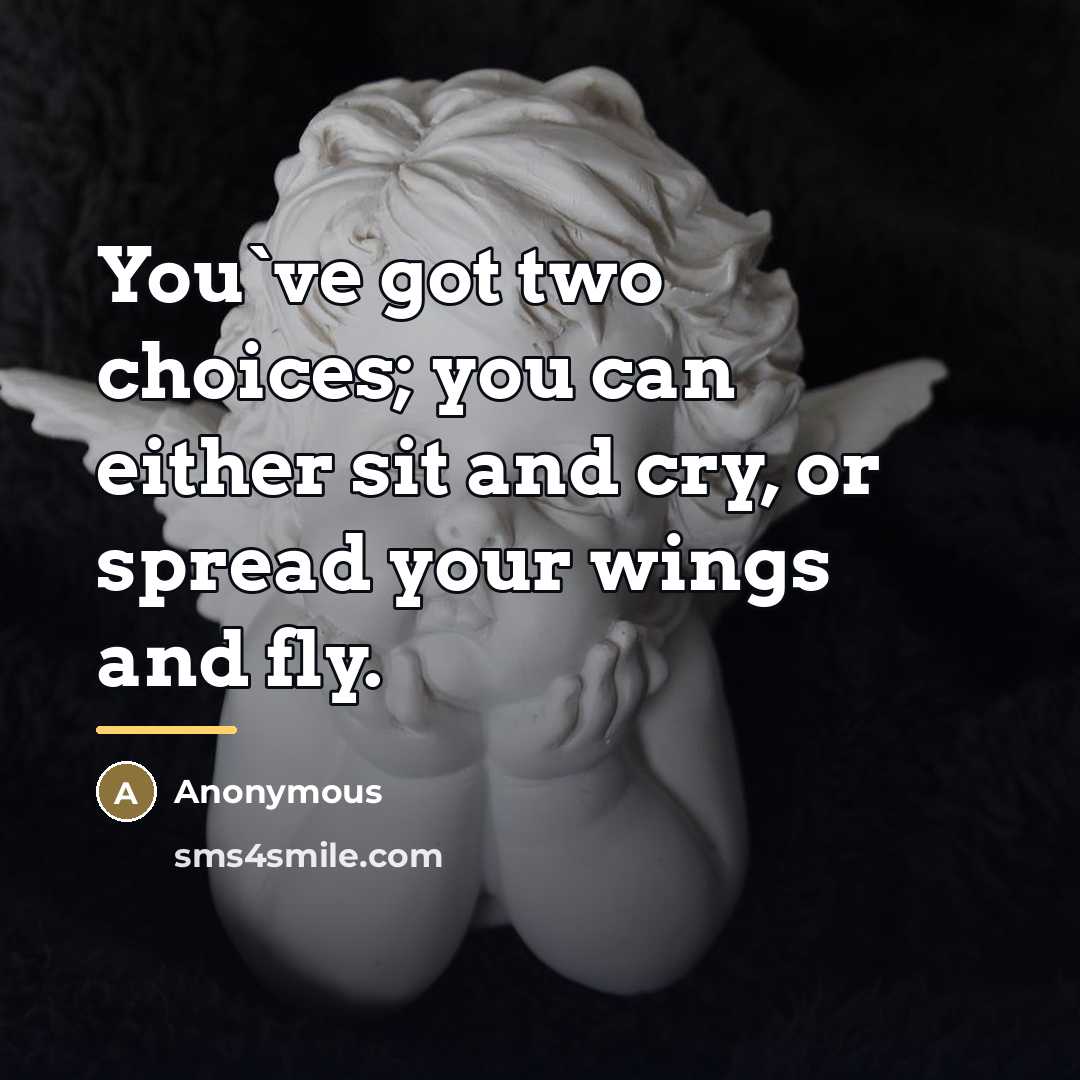 “You`ve got two choices; you can either sit and cry,…” quote by Anonymous