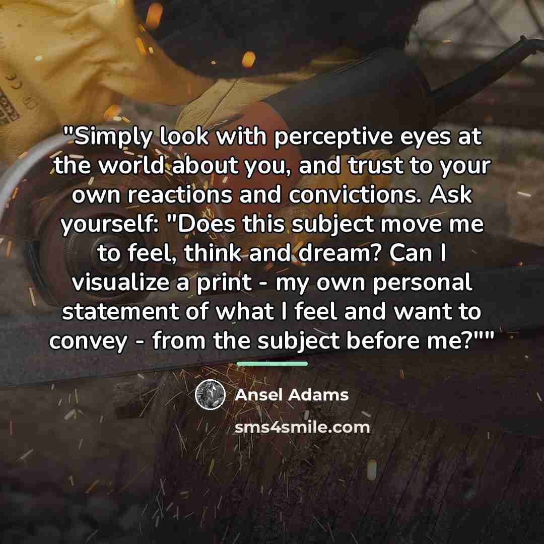 “"Simply look with perceptive eyes at the world about you,…” quote by Ansel Adams