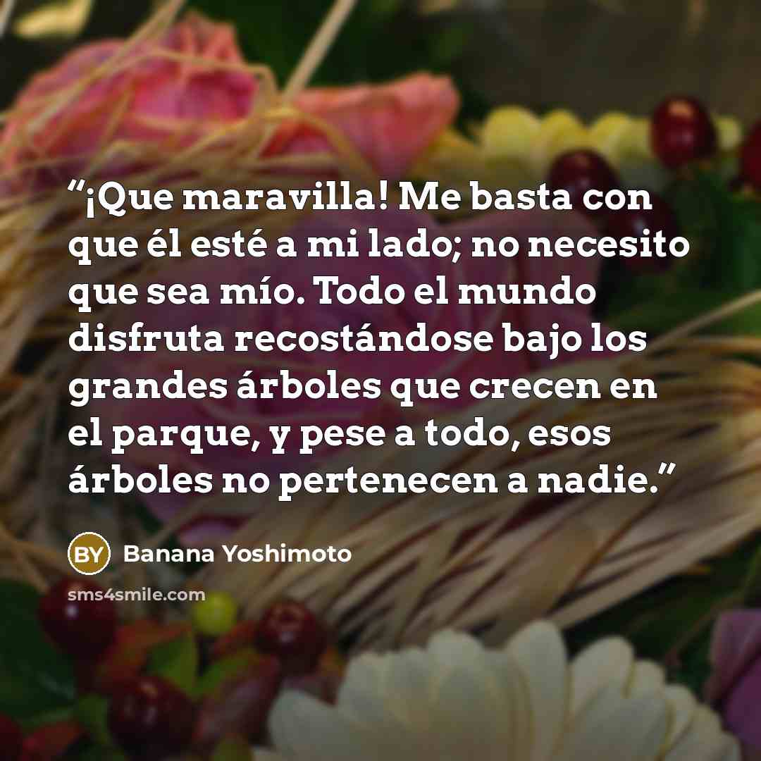 “¡Que maravilla! Me basta con que él esté a mi lado; no necesito que sea mío. Todo el mundo disfruta recostándose bajo los grandes árboles que crecen en el parque, y pese a todo, esos árboles no pertenecen a nadie.” quote by Banana Yoshimoto