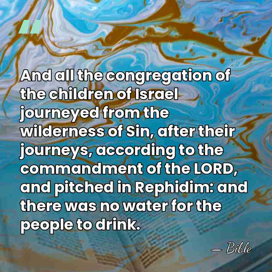 And all the congregation of the children of Israel journeyed from the&hellip; - Bible