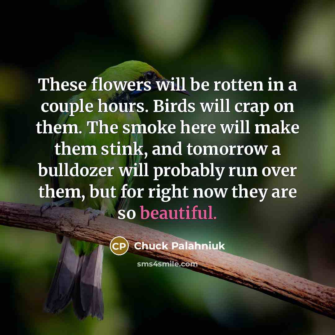“These flowers will be rotten in a couple hours. Birds…” quote by Chuck Palahniuk