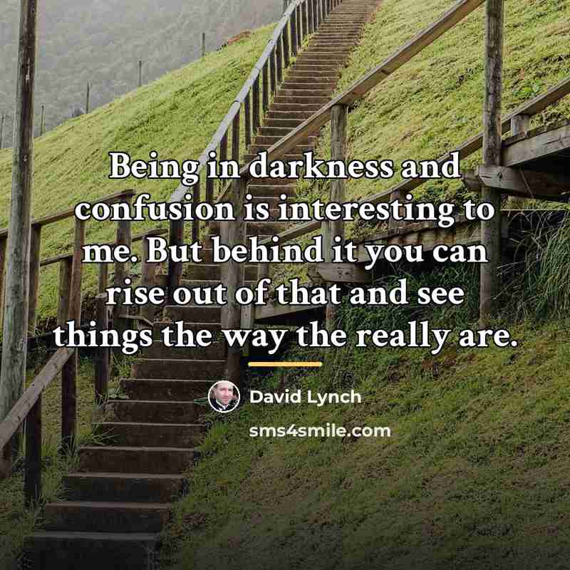 “Being in darkness and confusion is interesting to me. But…” quote by David Lynch