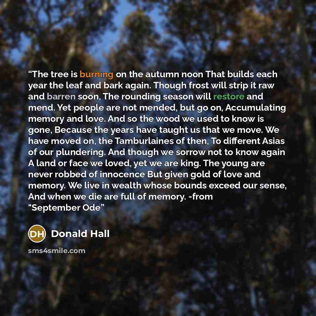 “The tree is burning on the autumn noon That builds each year the leaf and bark again. Though frost will strip it raw and barren soon, The rounding season will restore and mend. Yet people are not mended, but go on, Accumulating memory and love. And so the wood we used to know is gone, Because the…” quote by Donald Hall