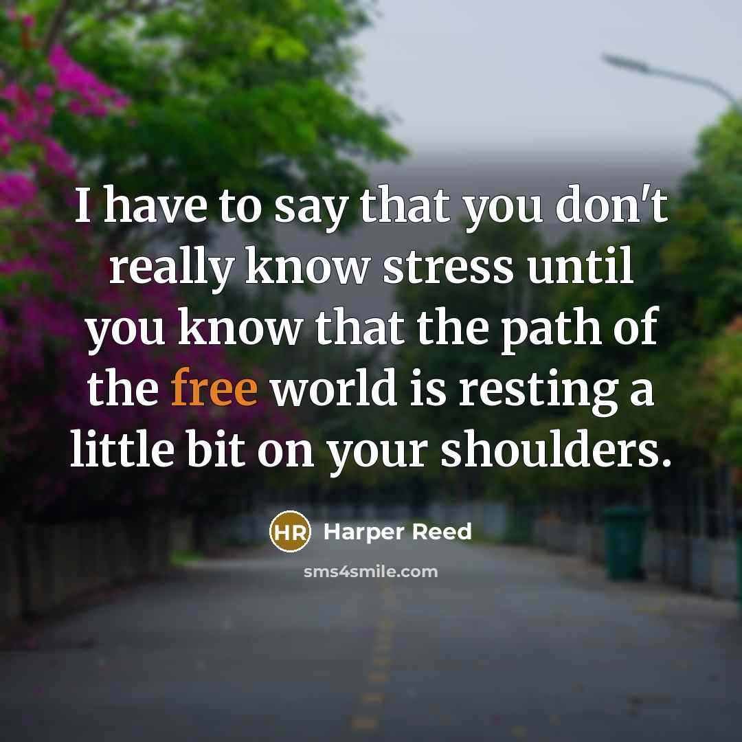 “I have to say that you don't really know stress…” quote by Harper Reed
