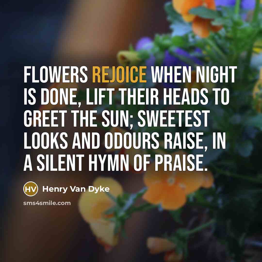 “Flowers rejoice when night is done, Lift their heads to…” quote by Henry Van Dyke