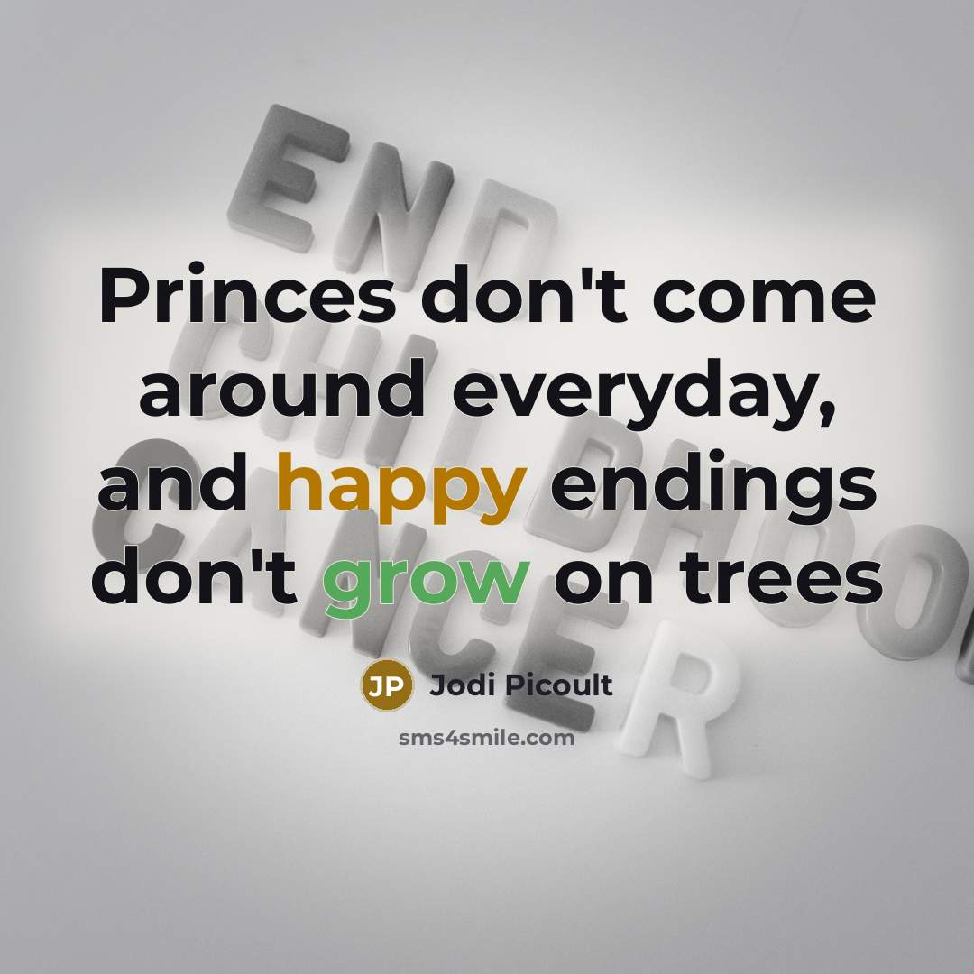 “Princes don't come around everyday, and happy endings don't grow on trees” quote by Jodi Picoult
