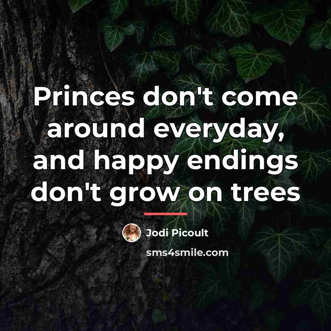 “Princes don't come around everyday, and happy endings don't grow…” quote by Jodi Picoult