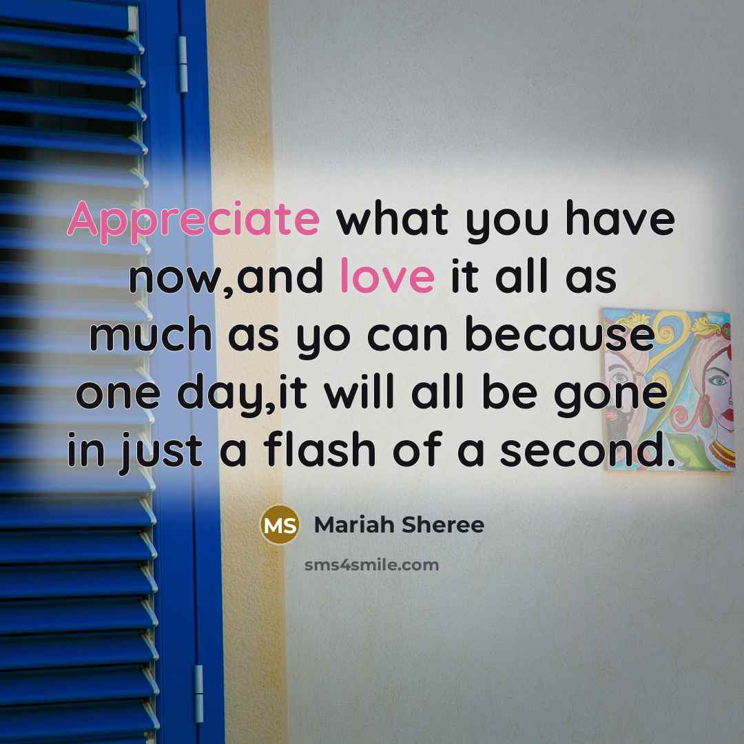 “Appreciate what you have now,and love it all as much as yo can because one day,it will all be gone in just a flash of a second.” quote by Mariah Sheree